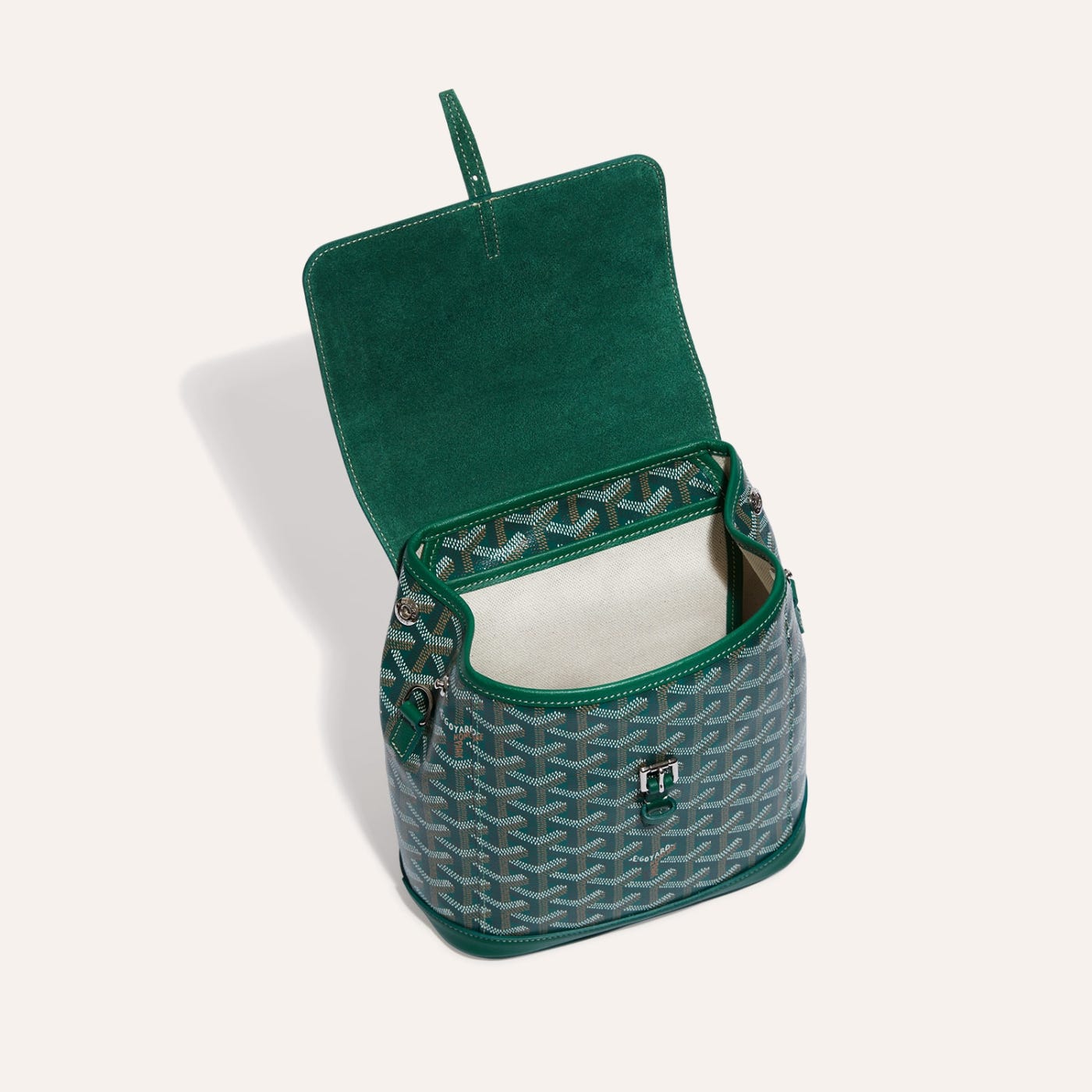 Goyard Alpin Mini Backpack Green - Image 5
